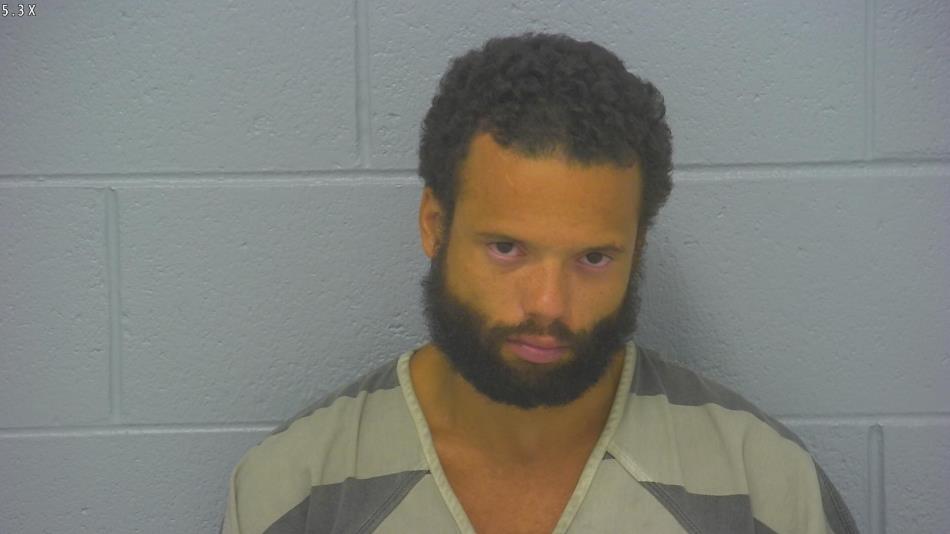 Arrest photo of DUSTYN  SHEPPARD
